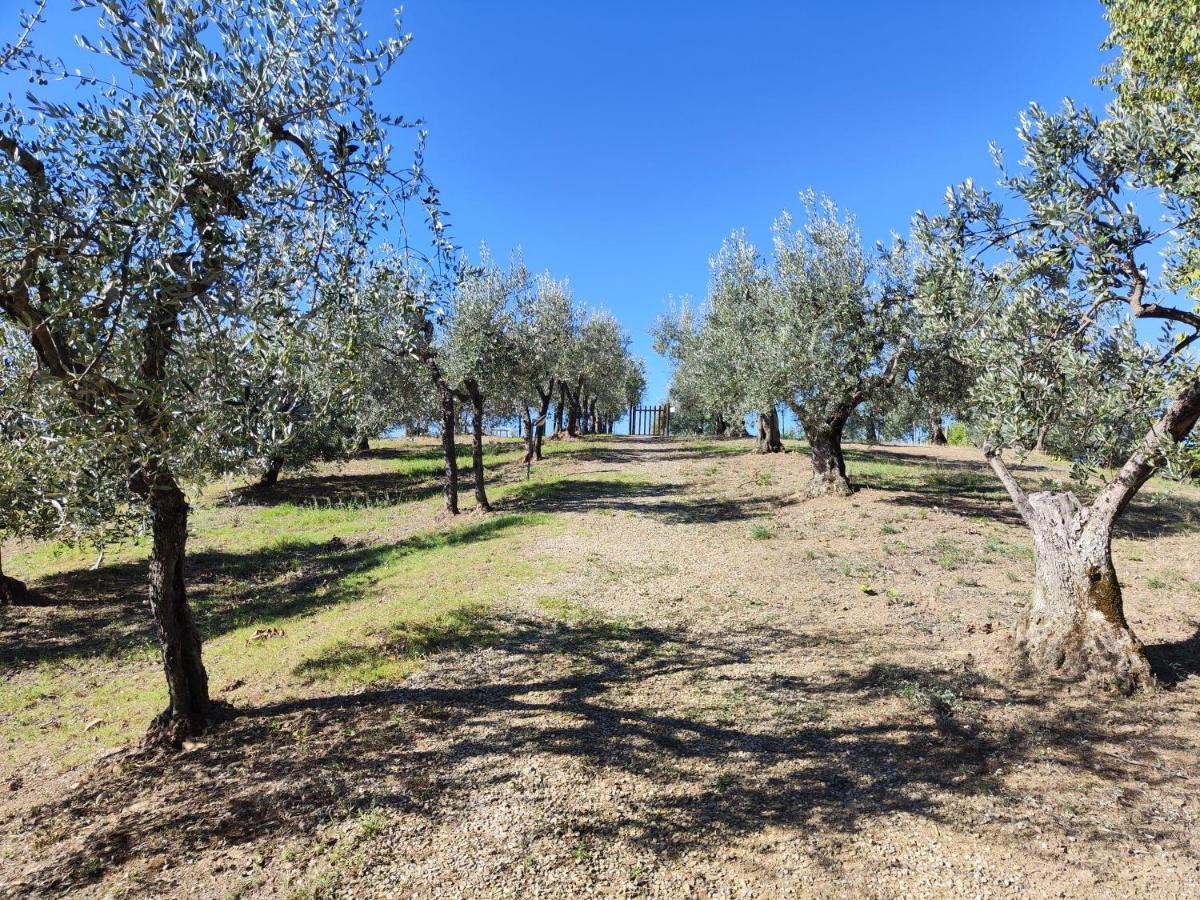 Agriturismo Sommassa Greve in Chianti Esterno foto