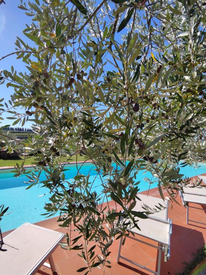 Agriturismo Sommassa Greve in Chianti Esterno foto