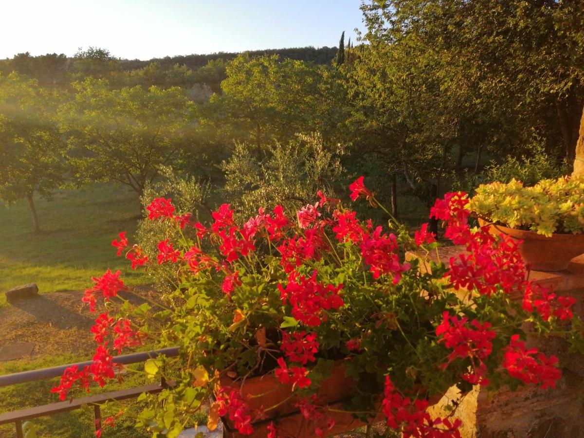Agriturismo Sommassa Greve in Chianti Esterno foto