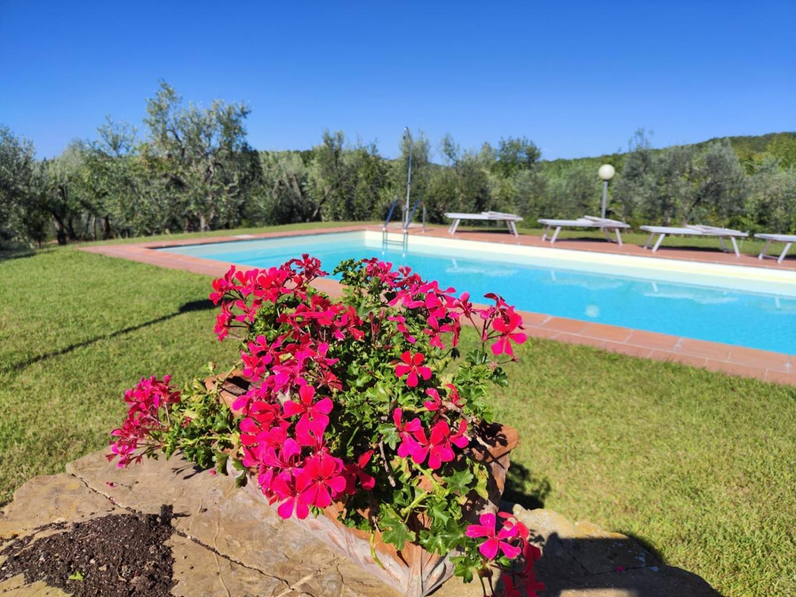 Agriturismo Sommassa Greve in Chianti Esterno foto